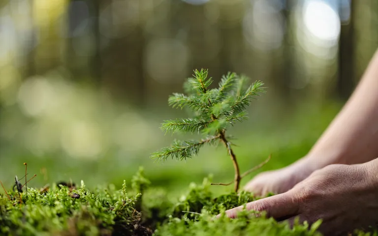 Conrum Code Of Conduct